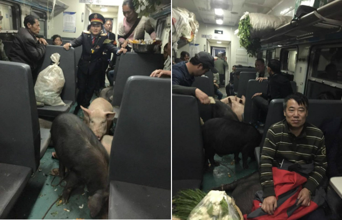 Секс В Поезде Китай