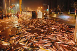Рыба в Китае