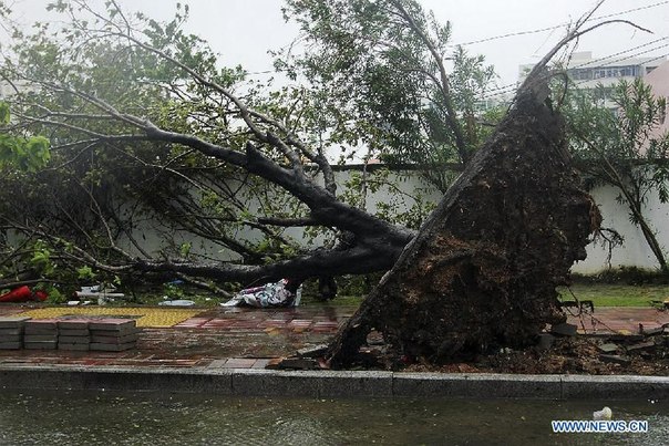 Последствия тайфуна. Фото: Xinhua
