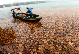 Рабочие очищают озеро от опавших листьев, Ханчжоу, провинция Чжэцзян. Благодаря холодному воздушному фронту, пришедшему с юга, недавний смог постепенно рассеивается.
