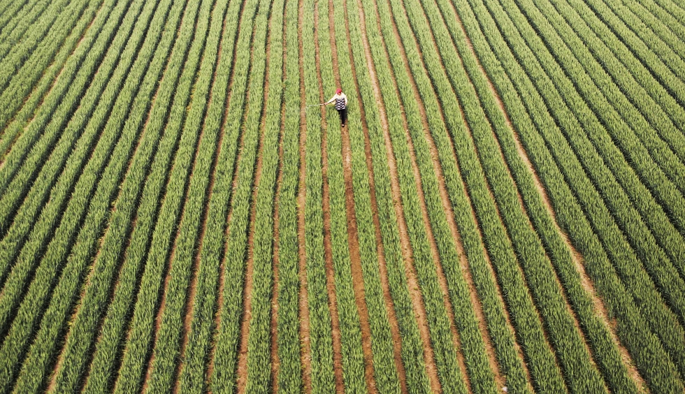 Власти Китая решили углублять реформы в сельском хозяйстве