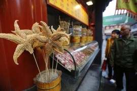 Морские звезды, скорпионы и морские коньки для приготовления на грилле на улице Пекина.