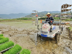 Китайское правительство заявило о токсичности пятой части сельскохозяйственных земель страны