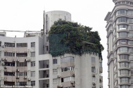 Китайский бизнесмен замаскировал незаконную надстройку квартиры деревьями