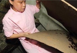 «Они мне как дети» — китаянка держит в своем доме 100 тысяч тараканов