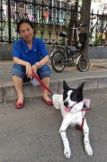 Как пекинцы относятся к поеданию собак