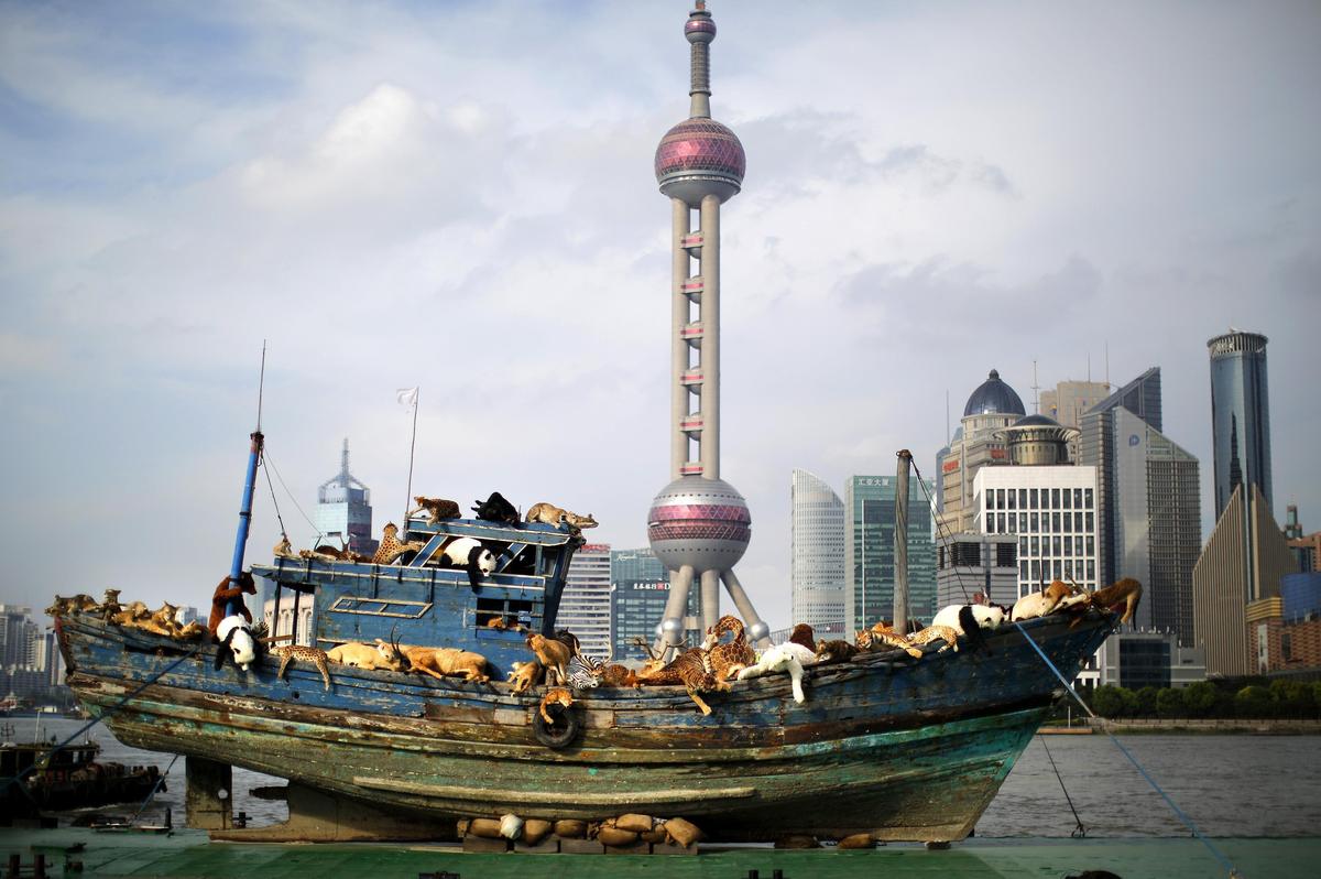 Инсталляция "Девятый вал" китайского художника Цай Гоцяна  на реке Хуанпу в Шанхае. Фото: Reuters/Carlos Barria