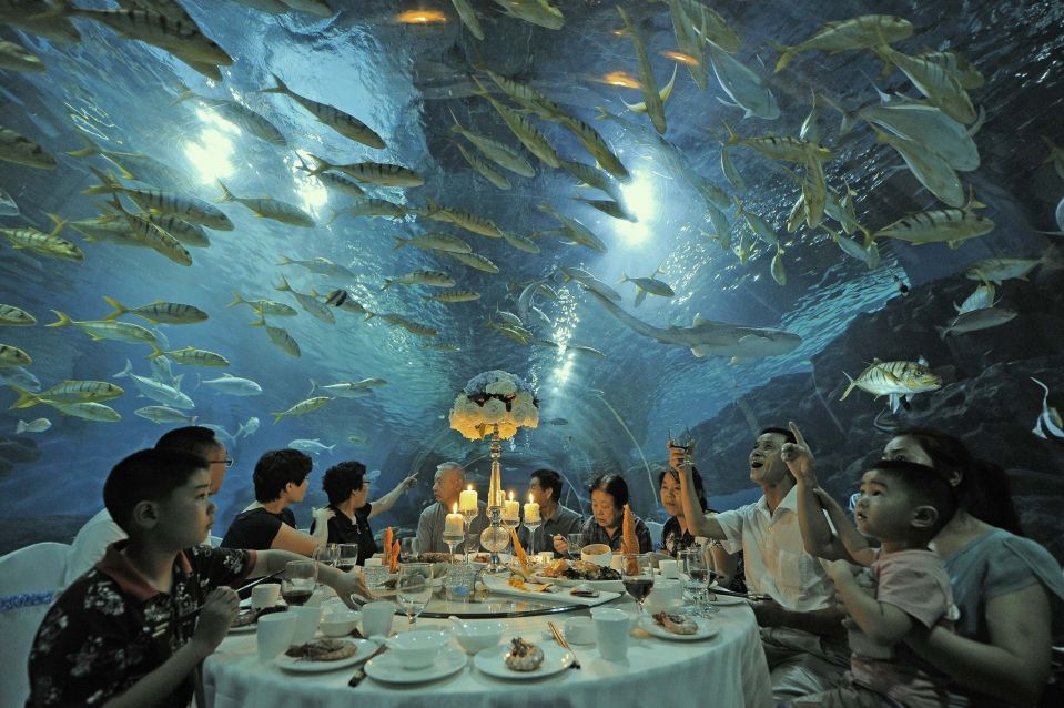Посетители океанариума в Тяньцзине ужинают на фоне проплывающих мимо рыб. Фото: Reuters 