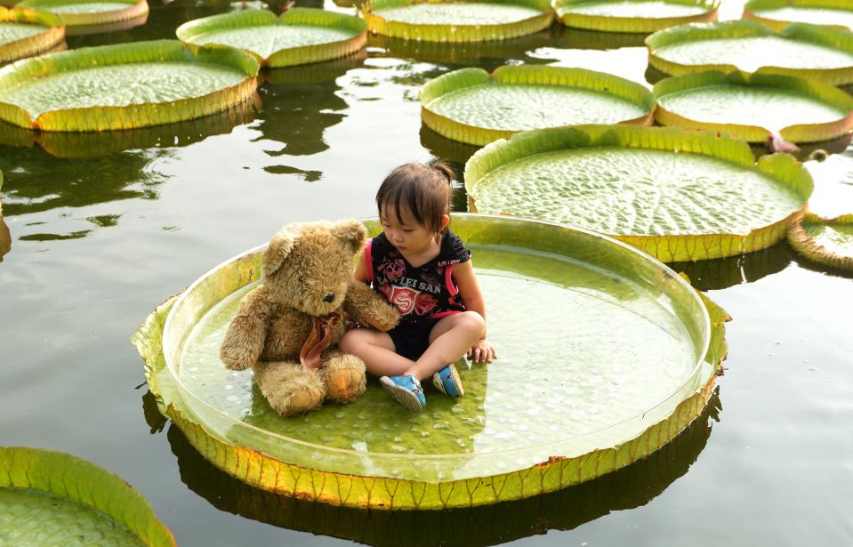 Девочка сидит на листе гигантской кувшинки в парке «Шуанси» в Тайбэе