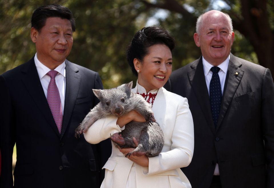 Генерал-губернатор Австралии с председателем КНР Си Цзиньпином и его женой Пэн Лиюань, которая держит на руках вомбата, Cидней.