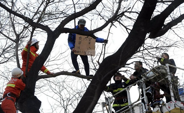 Китаец залез на дерево, пытаясь продать собственную почку
