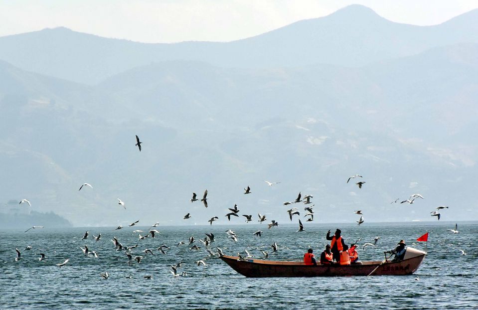 Туристы плавают по озеру Эрхай в Дали-Байском автономном округе, провинция Юньнань.