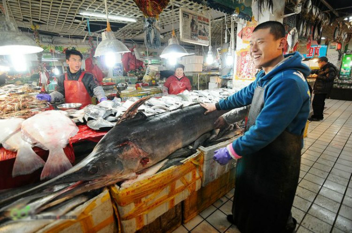 гигантская рыба-меч из циндао