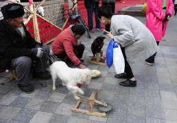 уличное представление в Китае