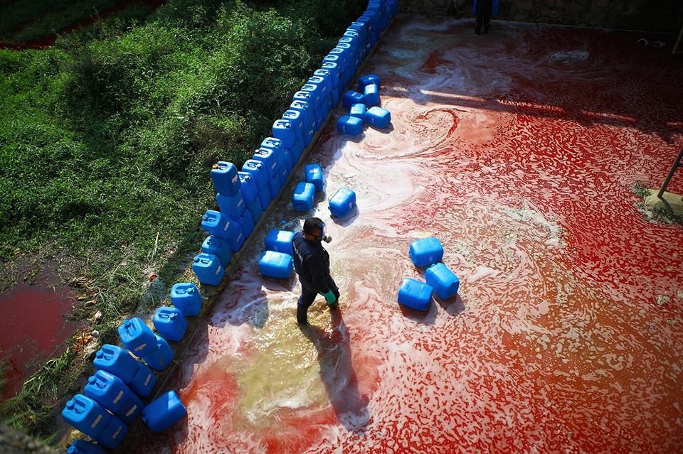 «Кровавая река» в Шэньчжэне экология китай