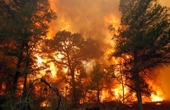 Лесные пожары из Забайкалья перекинулись в Китай