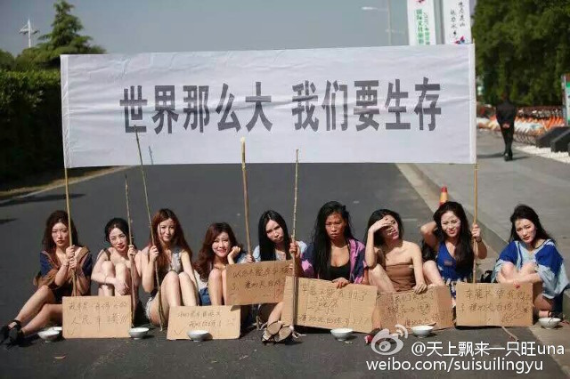 в китае запретили моделей на шанхайском автосалоне