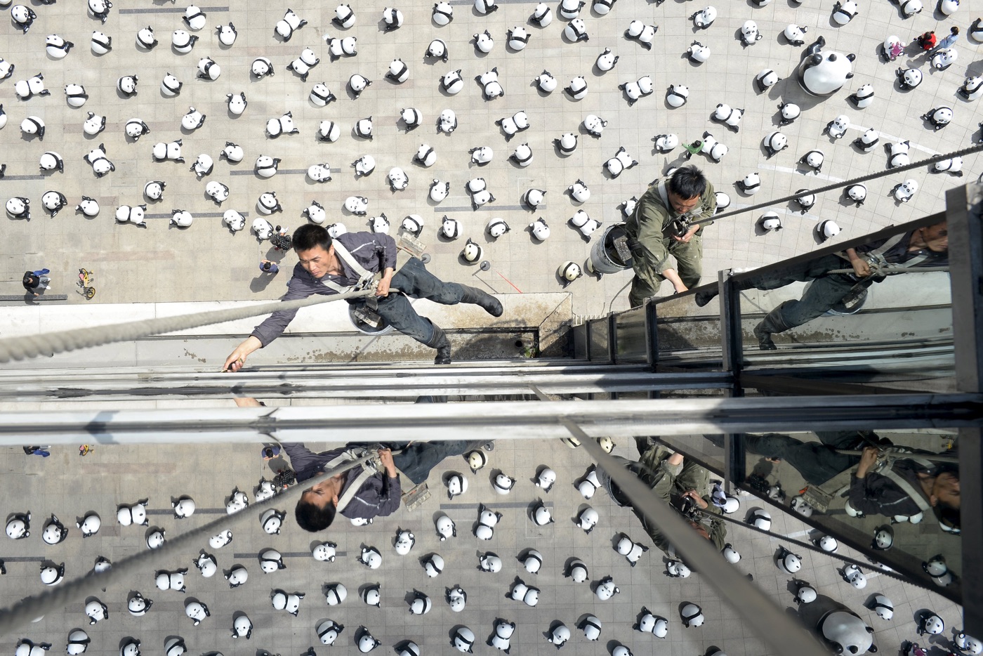Рабочие моют стекла офисного здания, на площади перед которым проводится инсталляция из почти 300 скульптур панд, Тайюань, провинция Шаньси. Фото: Jon Woo/Reuters