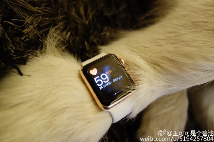 сын китайского миллиардера подарил собаке золотые часы Apple