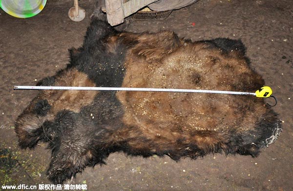убийство панды в китае