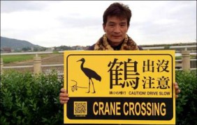 Сибирский журавль по ошибке мигрировал на остров Тайвань