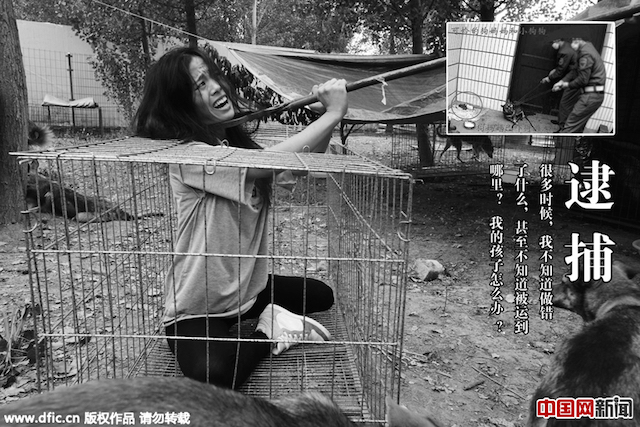 акция против жестокого обращения с животными в Китае