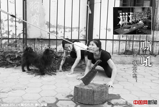 китайские танцовщицы против фестиваля собачьего мяса