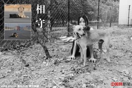 права животных в Китае