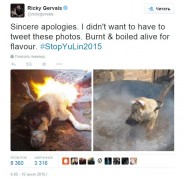 фестиваль поедания собак в китае