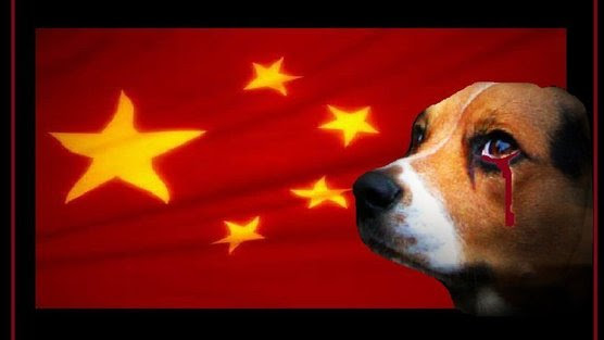 фестиваль поедания собак в Китае
