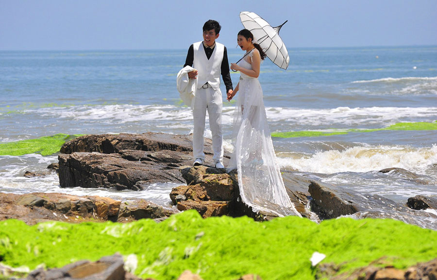 Молодожены делают свадебную фотосессию на берегу моря, заросшем зелеными водорослями. Провинция Шаньдун. 