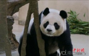 фото: Sina News