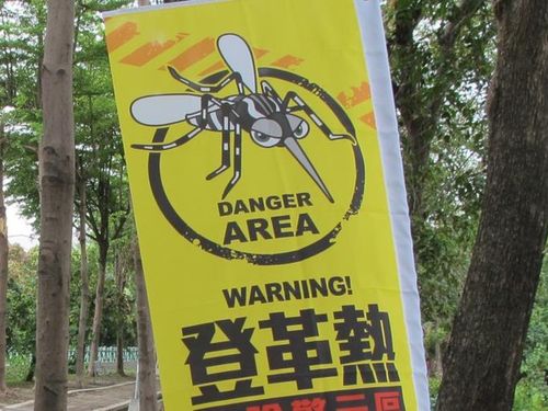 Число заболевших лихорадкой денге на Тайване превысило 9 тыс человек