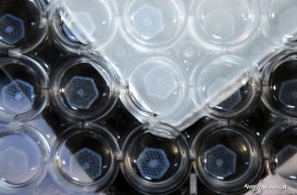 китайские ученые напечатали части печени на 3D-принтере