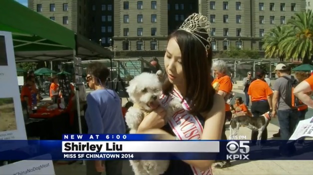 Ширли Лю, мисс Чайнатаун 2014, на калифорнийской акции протеста против оптовой торговли собаками и кошками в Гуандуне.