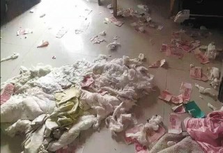 В Китае собака нашла и погрызла спрятанную от жены заначку мужчины