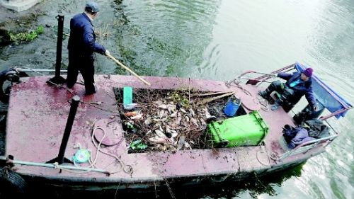 Сотрудники парка Даминху вычищают мертвую рыбу из озера. Фото: en.people.cn