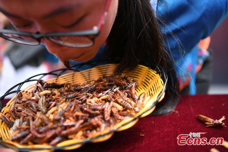 Где едят людей. Жареные насекомые в Китае. Китайская кухня жареные тараканы.