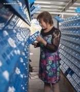 Крабоводство