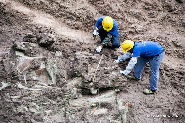 Раскопки динозавров в Китае
