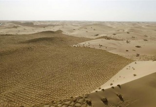 В Китае ученые научились выращивать урожай в пустыне