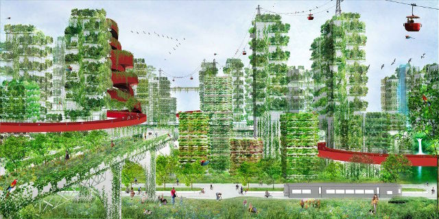 forest_city23