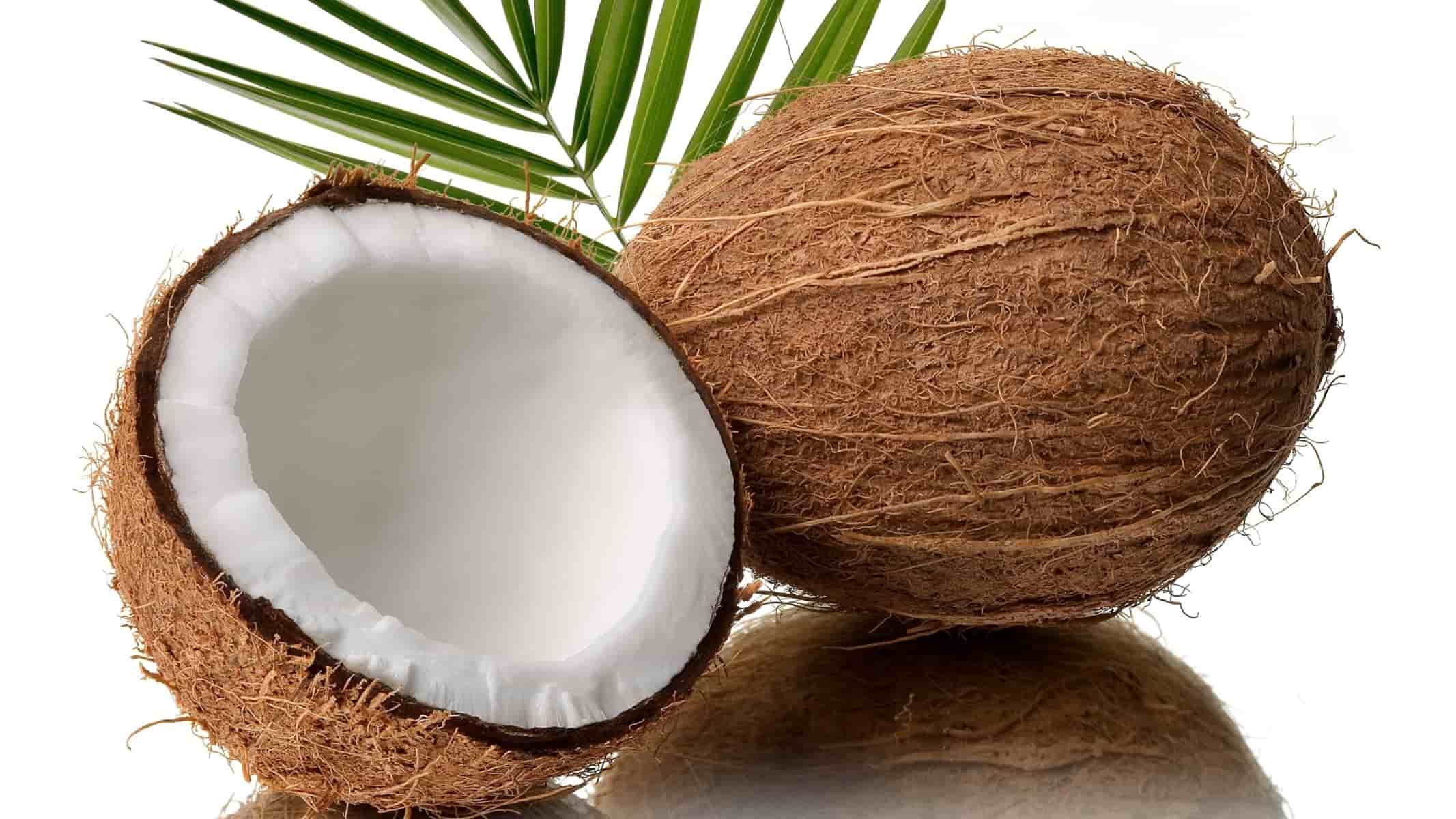 китай кокос геном наука