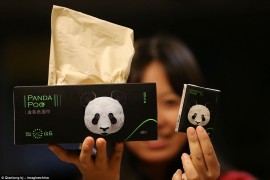 Китайцы превратили экскременты панд в салфетки