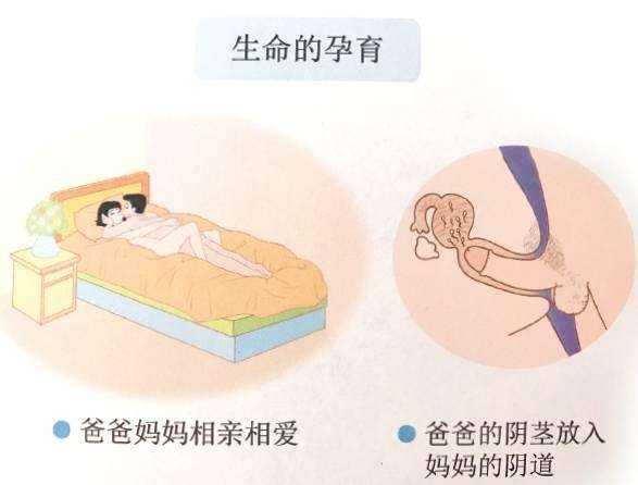 china sex ed textbook