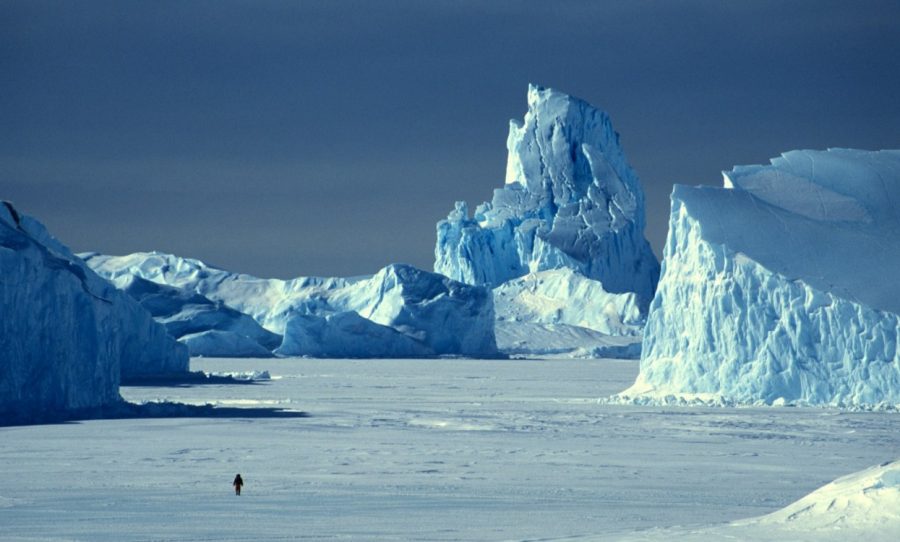 арктика китай полярный шелковый путь