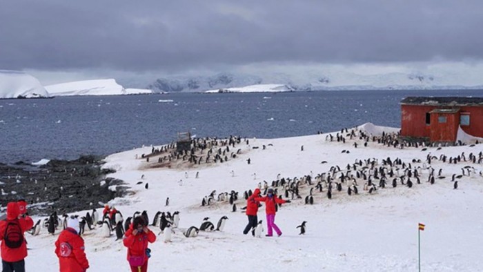 китайские туристы в Антарктиде