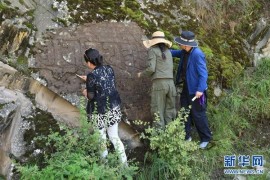 археологи в провинции Цинхай