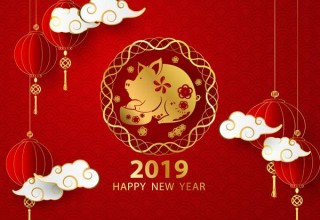 Китай-2019: что несет год желтой Свиньи
