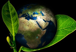 NASA признало Китай лидером мирового озеленения